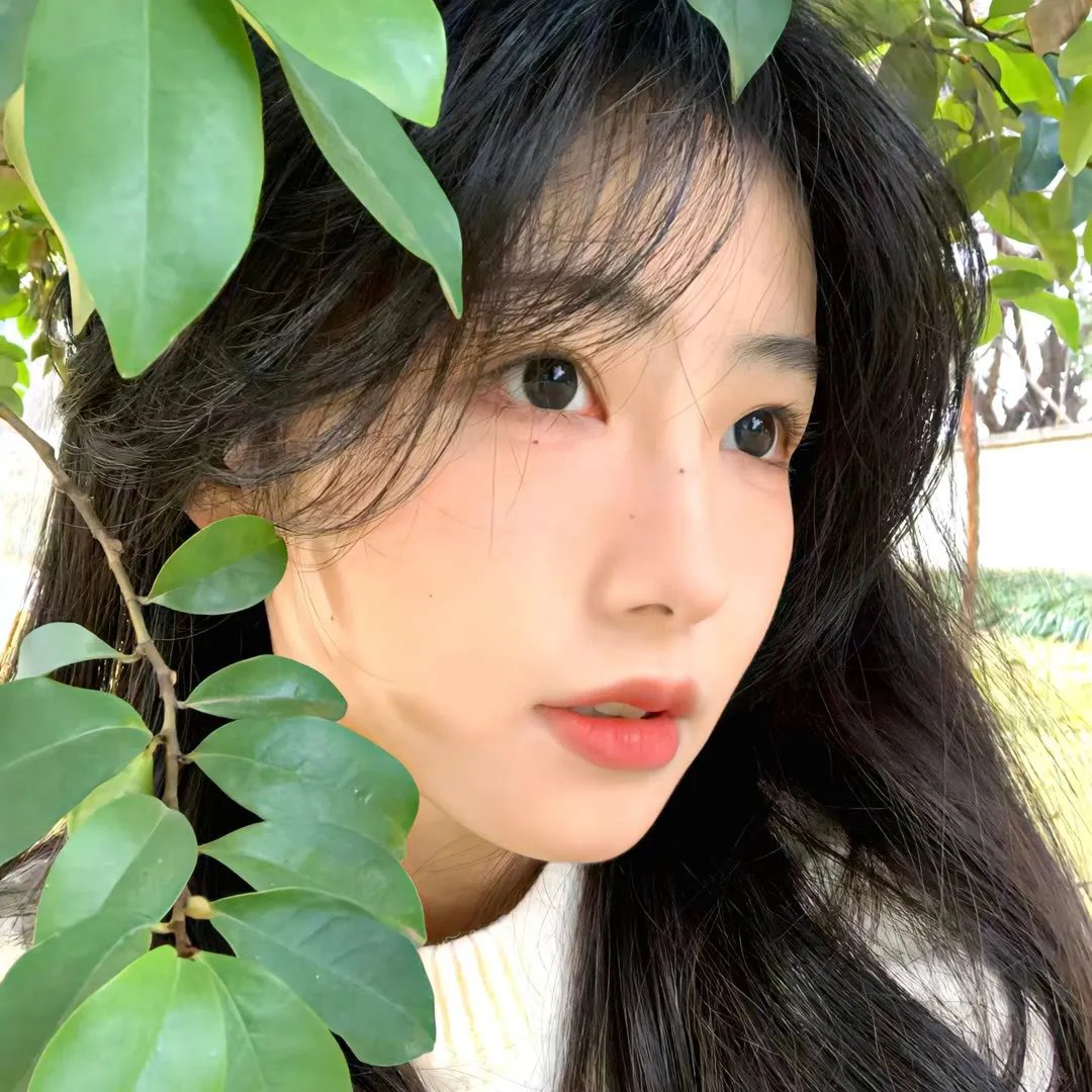 艾拉娜·格雷泽：人类魔法